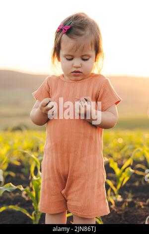 Vue de face d'une petite fille debout dans le champ de maïs avec ses poings plein de terre, regardant curieusement vers le bas. Enfant s'amusant avec l'agriculture et le jardinage Banque D'Images