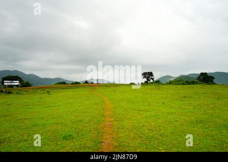 Green Field Valley dans la montagne Daringbadi d'Odisha Banque D'Images