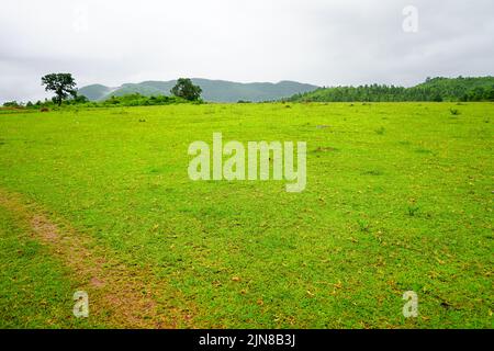 Vallée de la montagne du centenaire de Daringbadi à Odisha Banque D'Images