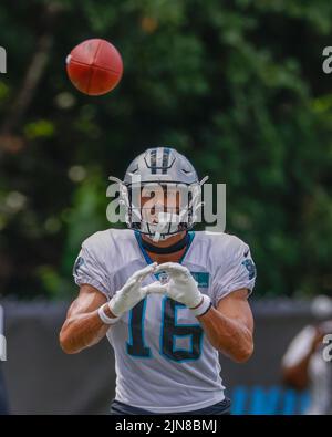 Spartanburg, SC États-Unis; le grand receveur Brandon Zylstra (16) a les yeux sur le ballon pendant le camp d'entraînement de Carolina Panthers, mardi, 9 août 2022, at Banque D'Images