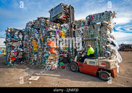 Chariot élévateur à fourche empilant des balles de divers plastiques pour recyclage dans une usine de recyclage à Geelong, Victoria Banque D'Images