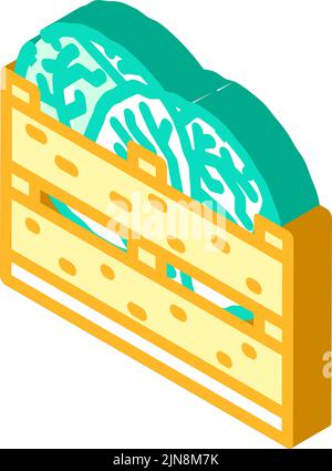 illustration vectorielle d'icône isométrique en forme de choux Illustration de Vecteur