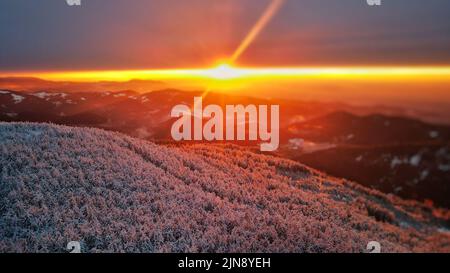 Coucher de soleil sur des arbres enneigés en hiver Banque D'Images