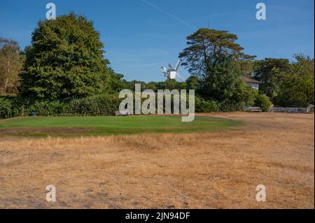 Wimbledon Common, Londres, Royaume-Uni. 10 août 2022. La prairie de Wimbledon Common est de couleur paille sous le soleil chaud. La plupart des marcheurs prennent des itinéraires à travers l'ombre des arbres laissant le commun très calme. Les Verts restent arrosées au London and Scottish Golf Club on the Common, près du moulin à vent, bien que Thames Water envisage actuellement une interdiction de l'hosepipe à un certain moment. Crédit : Malcolm Park/Alay Live News Banque D'Images