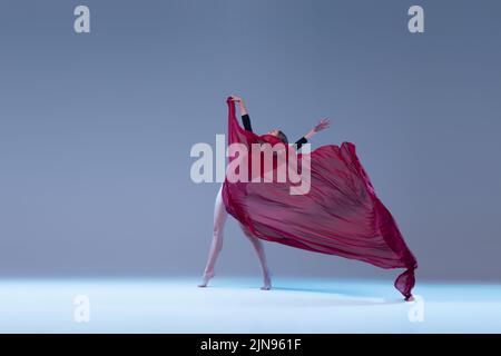 Portrait de la jeune ballerine dansant avec tissu isolé sur fond bleu gris studio. Entièrement recouvert d'un tissu rouge foncé Banque D'Images