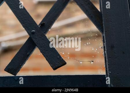 toile et gouttes de pluie sur la grille en fer Banque D'Images