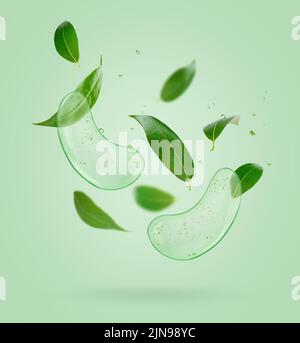 Taches oculaires volantes avec composition de feuilles de thé sur fond vert Banque D'Images