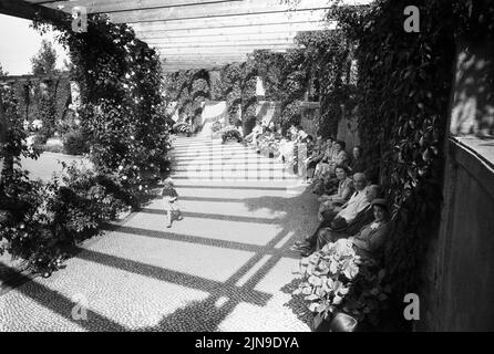 Original-Bildunterschrift: Der Rosengarten im Berlin Tiergarten erfreute sich an diesem schönen Sonntag regen Besuchs, Berlin, Deutschland 1955. Banque D'Images