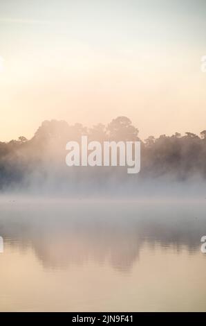 Une brume coule au-dessus de l'étang tandis que le soleil éclaire progressivement le ciel, la scène offrant un moment de sérénité et de réflexion. Banque D'Images