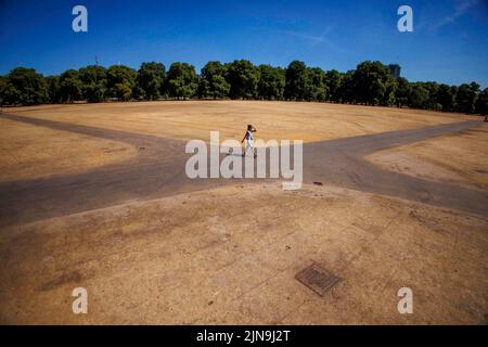 Londres, Royaume-Uni. 10th août 2022. Conditions très chaudes dans un quartier déserté de Londres Hyde Park à l'heure du déjeuner. L'herbe est parchée après le plus sec juillet depuis 1935. Des alertes de chaleur extrême ont été émises pour certaines parties du pays à partir de demain. Crédit : Karl Black/Alay Live News Banque D'Images