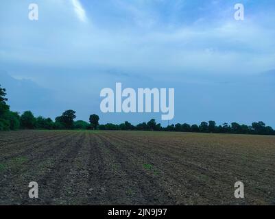 Une belle photo de la ferme du village indien Banque D'Images