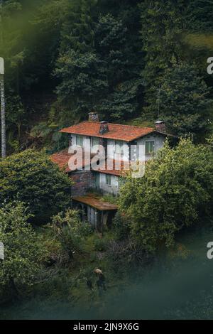 Une maison abandonnée cachée dans une nature verte couverte d'une brume légère Banque D'Images