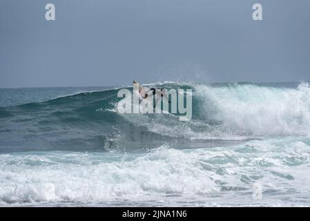 Serveur sur la plage à Puerto Viejo, Limon, Costa Rica Banque D'Images