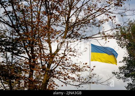 Kharkiv, Kharkiv Oblast, Ukraine. 10th août 2022. Un immense drapeau national ukrainien flotte dans la brise de la ville ukrainienne de Kharkiv, au milieu de l'invasion russe de l'Ukraine. Moscou continue de supporter l'Ukraine avec férocité, notamment à Donetsk, Luhansk et Kharkiv. (Image de crédit : © Daniel Cing Shou-Yi/ZUMA Press Wire) Banque D'Images