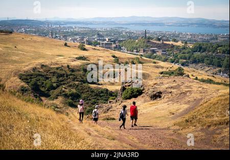 De grandes zones d'herbe sont devenus jaunes en raison des conditions sèches dans Holyrood Park, Édimbourg. Le service écossais d'incendie et de sauvetage (SFR) a pu s'assurer que le risque de feux de forêt était très élevé dans le sud et l'est de l'Écosse, avec de longues périodes ensoleillées et sèches attendues au cours des prochains jours. Date de la photo: Mercredi 10 août 2022. Banque D'Images