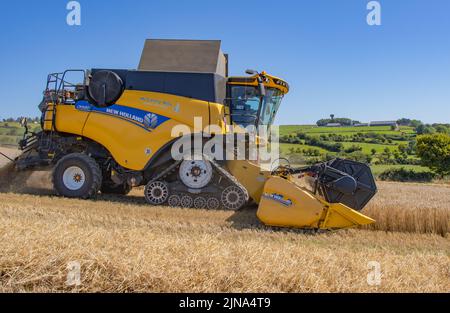 Moissonneuse-batteuse à chaînes New Holland Banque D'Images