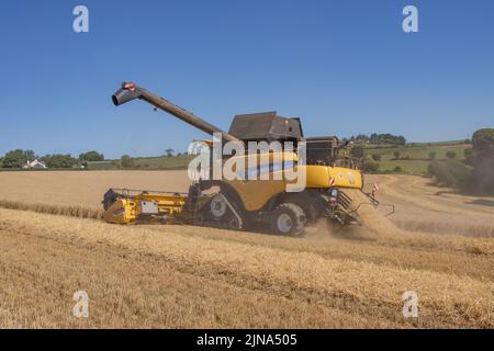 Moissonneuse-batteuse à chaînes New Holland Banque D'Images