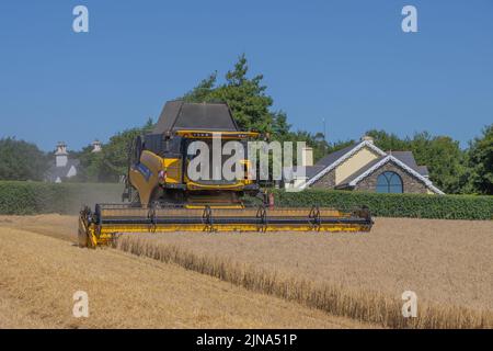 Moissonneuse-batteuse à chaînes New Holland Banque D'Images