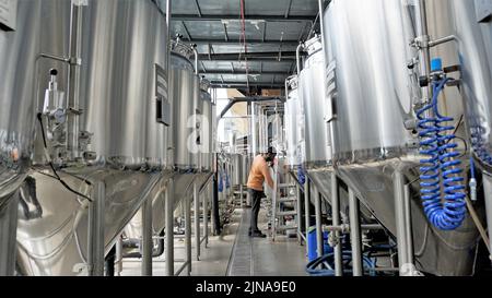 Rangée de cuves de micro-brasserie en métal brillant ou cuves de fermentation en purée dans l'usine de brasserie. Usine de bière moderne avec bouilloires, tubes et réservoirs à brasseur Banque D'Images