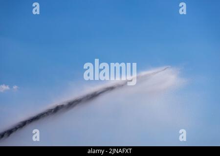 Buggingen, Allemagne. 09th août 2022. Un système de gicleurs vaporise de l'eau sur un champ de maïs. La sécheresse persistante rend l'irrigation nécessaire pour de nombreux agriculteurs. Credit: Philipp von Ditfurth/dpa/Alay Live News Banque D'Images