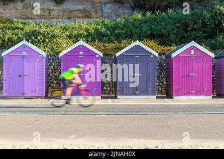 Rangée de cabanes de plage en bois violet multicolore au bord de la mer avec cycliste passant devant, à Bournemouth Dorset, Royaume-Uni Banque D'Images