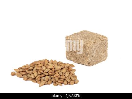 Un morceau de halva de tournesol et de graines de tournesol pelées sur fond blanc. La halva est une sorte de sucreries orientales, un dessert à base de graines de tournesol. Banque D'Images