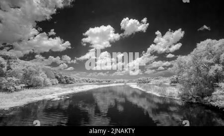 Image rouge infrarouge de la rivière Myakka dans le parc national de la rivière Myakka à Sarsota, Floride, États-Unis Banque D'Images