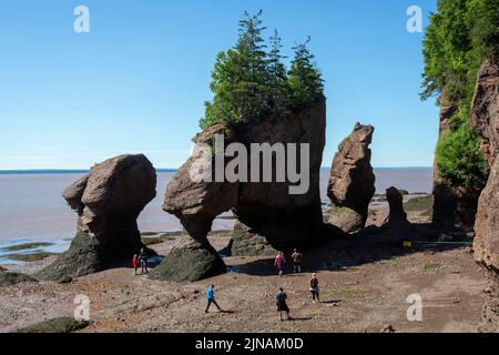 Les gens marchent parmi les roches du pot de fleurs dans le parc provincial Hopewell Rocks, au Cap Hopewell, au Nouveau-Brunswick, jeudi 7 juillet 2022. Banque D'Images