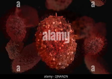 Virus de la variole du singe. Vue microscopique de gros plan de l'agent pathogène. 3D rendu de l'illustration. Banque D'Images