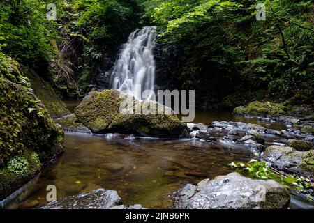 Une vue sur la pittoresque cascade de Gleno dans les Glens d'Antrim près de Larne Banque D'Images