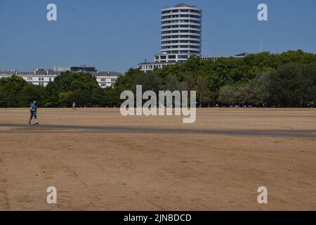 Londres, Royaume-Uni. 10th août 2022. Un homme marche dans un Hyde Park parché alors que les vagues de chaleur et la sécheresse causées par le changement climatique se poursuivent au Royaume-Uni. (Image de crédit : © Vuk Valcic/SOPA Images via ZUMA Press Wire) Banque D'Images