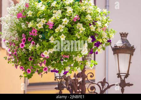 La rue Colmar est lumineuse et ornée de fleurs au printemps, dans l'est de la France Banque D'Images