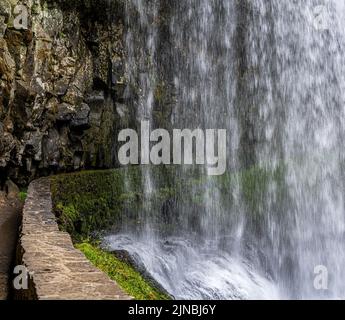 Lower South Falls dans le parc national de Silver Falls, OREGON Banque D'Images