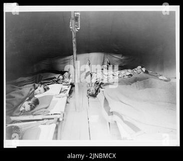 Une tente avant le réveil, Camp Ranachqua, BSA Banque D'Images