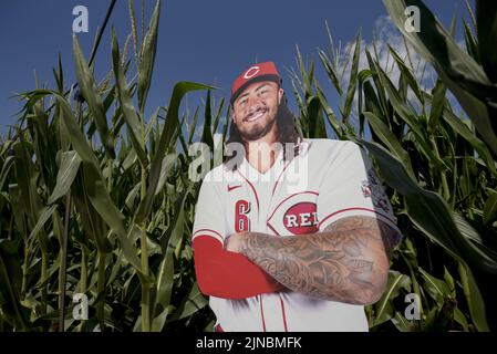 Dyersville, États-Unis. 10th août 2022. Une affiche grandeur nature de l'inFielder Jonathan India de Cincinnati Reds se trouve dans le champ de maïs pour le deuxième match annuel Field of Dreams de la ligue majeure de baseball entre les Cincinnati Reds et les Chicago Cubs à Dyersville, Iowa, mercredi, 10 août 2022. Photo par Mark Black/UPI crédit: UPI/Alay Live News Banque D'Images