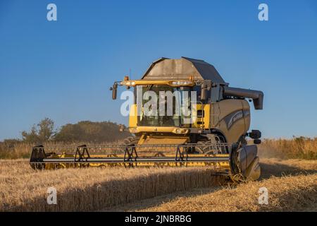 Moissonneuse-batteuse à chaînes New Holland Banque D'Images