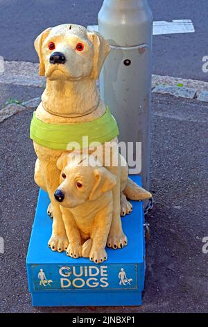 Vintage Guide Dogs Charity Collecting Box, High Street, Moreton-in-Marsh, Cotswolds, Oxfordshire, Angleterre, Royaume-Uni Banque D'Images