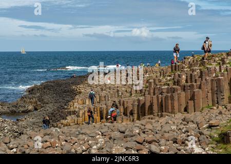 Giant's Causeway, près de Bushmills, Antrim, Irlande du Nord Banque D'Images