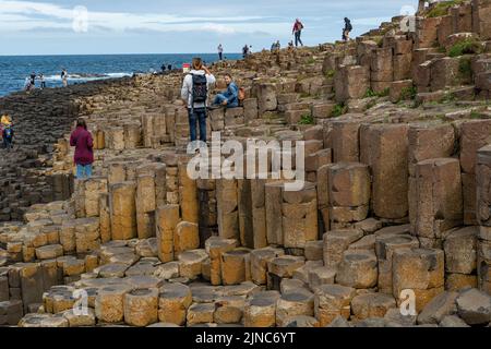 Giant's Causeway, près de Bushmills, Antrim, Irlande du Nord Banque D'Images