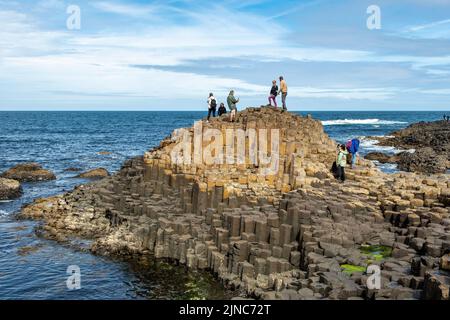 Giant's Causeway, près de Bushmills, Antrim, Irlande du Nord Banque D'Images