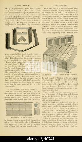 L'ABC et XYZ de la culture de l'abeille (page 103) Banque D'Images
