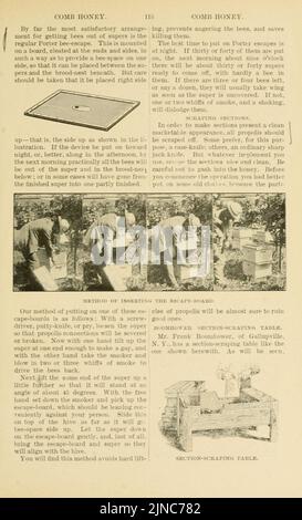 L'ABC et XYZ de la culture de l'abeille (page 115) Banque D'Images