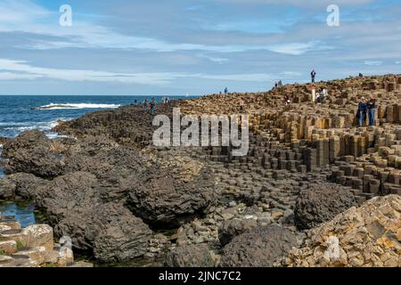 Giant's Causeway, près de Bushmills, Antrim, Irlande du Nord Banque D'Images