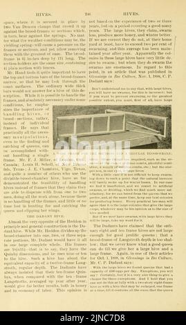 L'ABC et XYZ de la culture de l'abeille (page 246) Banque D'Images