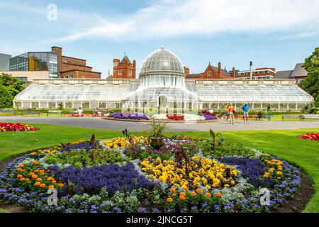 Palm House, jardins botaniques, Belfast, Irlande du Nord Banque D'Images