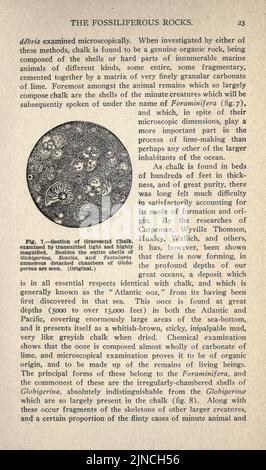 L'ancienne vie-histoire de la terre (page 23) Banque D'Images