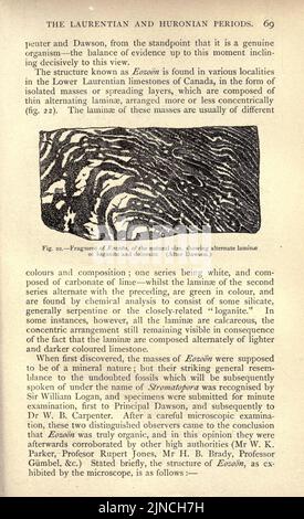 L'ancienne vie-histoire de la terre (page 69) Banque D'Images