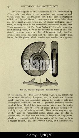 L'ancienne vie-histoire de la terre (page 152) Banque D'Images