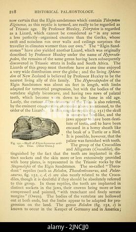 L'ancienne vie-histoire de la terre (page 218) Banque D'Images