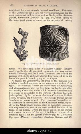 L'ancienne vie-histoire de la terre (page 266) Banque D'Images